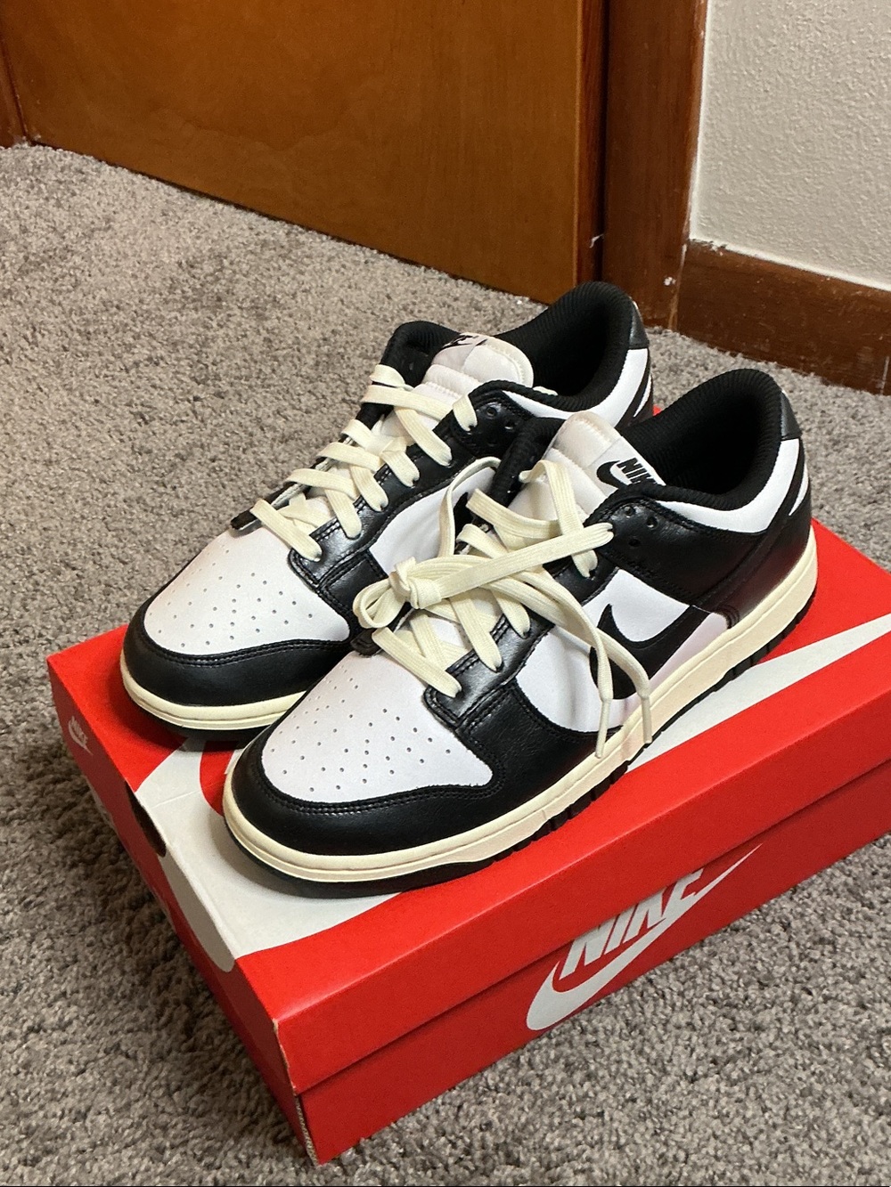 Brand New Nike Dunk Low Sneakers in Black and White